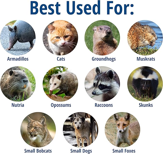 Havahart Large 2 Door Humane Catch and Release Live Animal Trap for Armadillos Beavers Bobcats Small Dogs Cats Foxes Groundhogs Nutria Opossums Raccoons Live Catch Trap for Stray Dogs 1045SR
