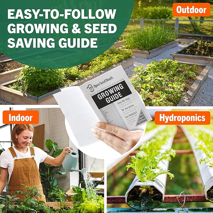 Open Seed Vault |15000 Heirloom Seeds | 32 Seed Types | Survival Seeds | 2026 Season | Non GMO Vegetable and Fruit Seeds | Planting Outdoor &amp Indoor Garden