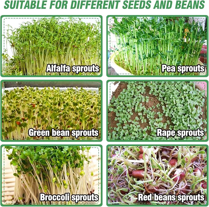Aulock Stainless Steel Seed Sprouting Kit - 3-Tier Microgreens Growing Tray 7.9 in Dia Stackable Round Sprouter Maker with Encrypted Mesh Sprouts Grower for Beans Broccoli Alfalfa Seeds Wheat Grass