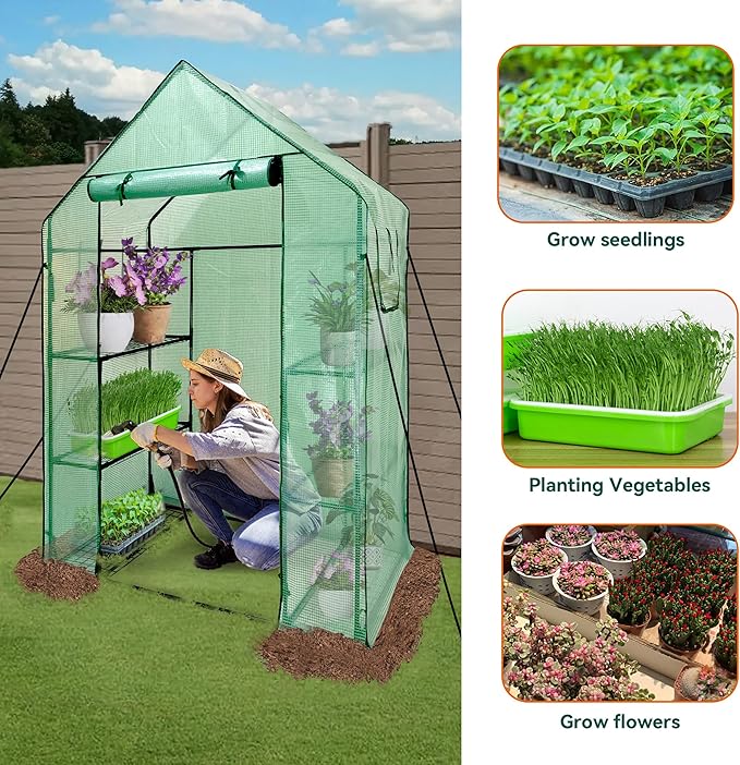 Heyfurni Walk in Greenhouse with ShelvesWalk-in Plant Green House with Durable Green PE Cover 3 Tiers 6 Shelves Stands with Ground Pegs &amp Ropes for Stability 56x28x76