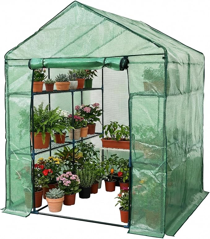Walk-in Greenhouse for Outdoors Small Green House Outdoor with 3-Tier Shelves Roll-Up Zippered Door &amp Mesh Window All-Season Plant House for Vegetables Herbs Flowers for Patio Backyard Gardenin