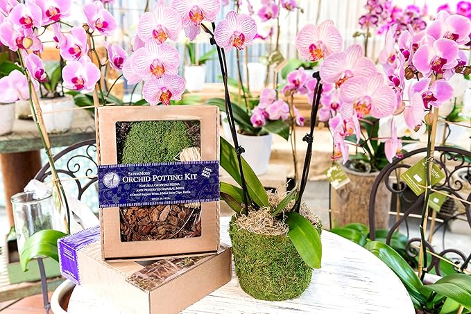 SuperMoss (90447) Orchid Potting Kit Complete Orchid Care Set with Preserved Moss Orchid Bark Floral Clips and Stakes 120 Cu. in. Sheet Moss Green