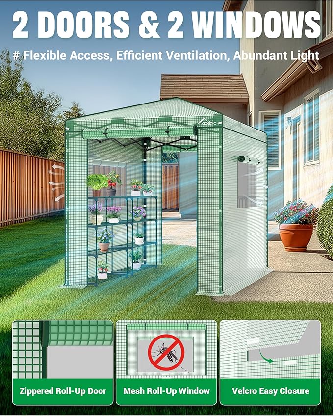 8x6 Instant Pop up Greenhouses Indoor Outdoor Portable Greenhouse Walk-in Small Green House for All Season with Roll-Up Zipper Doors and Side Windows 4 Sandbags Pe Cover Green/Clear