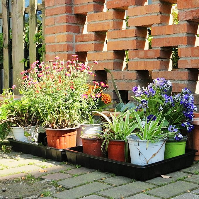 Gardzen 10 Pack Seed Trays Reusable Plant Grow Trays Ideal for Seed Starting Microgreens Indoor Gardening and Greenhouse Plant Nurseries - No Drain Holes 17.3 x 13