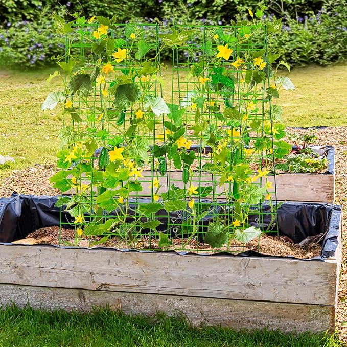 Pack 2 Heavy Metal Garden Trellis for Climbing Plants with Trellis Netting &amp Garden Clips A-Frame Cucumber Trellis for Raised Bed
