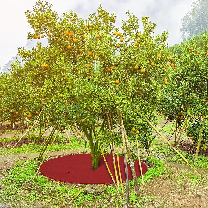 Shimeyao 16 Pcs 32. 2 Inch Non Woven Tree Mulch Ring Round Tree Weed Barrier Mat Reusable Landscape Protector Base Barrier Fabric for Weed Root Protection (Red)
