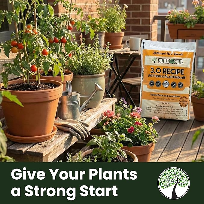 BuildASoil Potting Soil Recipe 3.0 - Organic Living Potting Soil Mix for Indoor and Outdoor Plants Water-Only Formula Well-Draining Indoor Garden Dirt for Full Growth Cycle - 35 lbs
