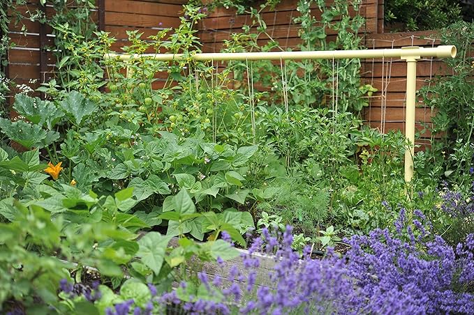 Seattle Urban Farm Company - Freyr Trellis - Vegetable Garden Trellis for Tomatoes Cucumbers Beans Peas and More