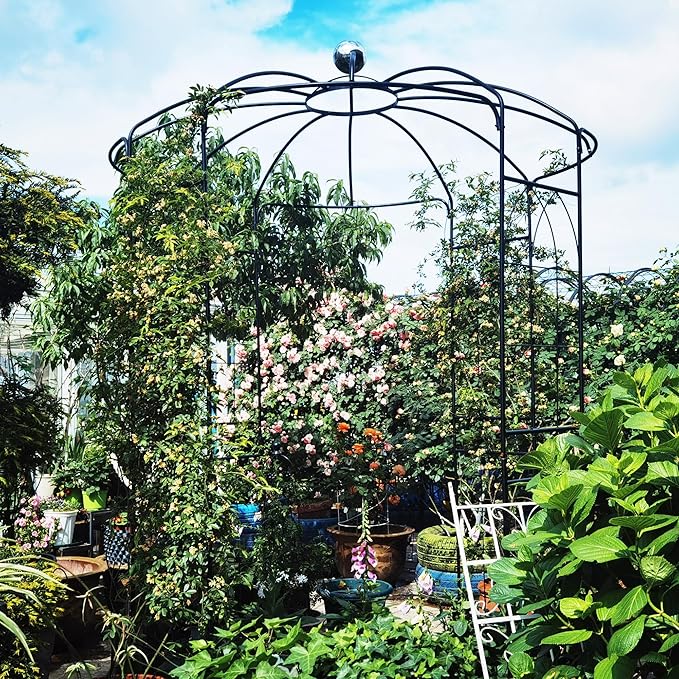 Garden Trellis Metal Garden Arch Iron Garden Arbors Gazebo Dia81.3'' x 114.2'' High Birdcage Shape Pergola Pavilion Outdoor Trellis for Wedding Ceremony Outdoor