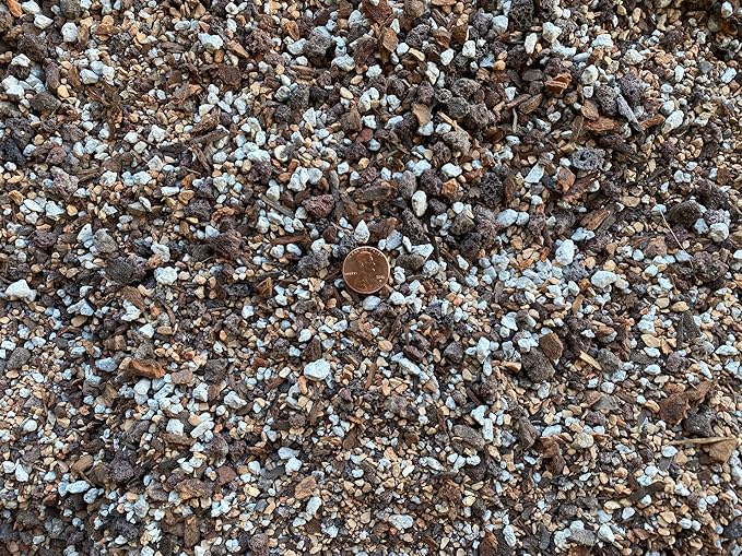 10 Cups Super Blend All Purpose Cactus &amp Succulents Soil Mixed with Coarse Sand Pumice Red Lava and Turface - Medium Grain (2.5Q Cactus M)