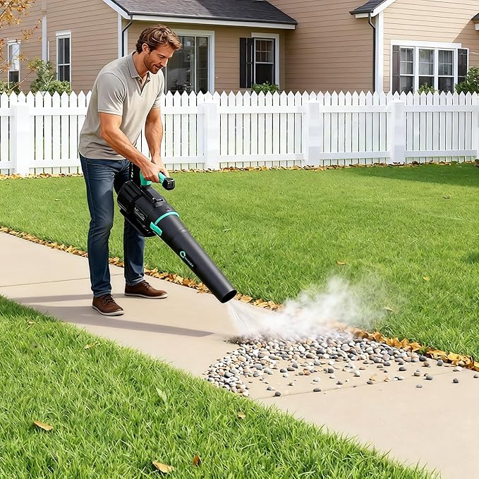 DEXSO Cordless Leaf Blower - 650 CFM / 200 MPH2 Speed 21-Volt Lithium-ion 4.0Ah Battery and Charger Included
