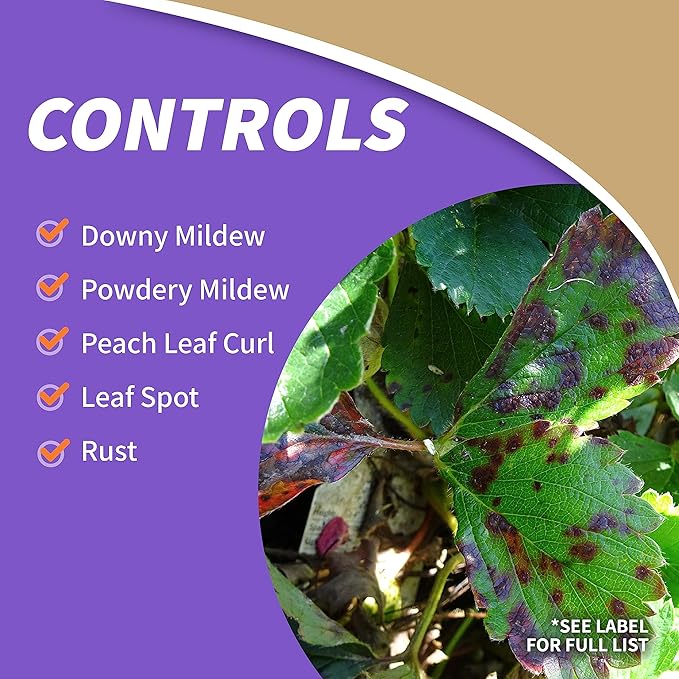 Bonide Captain Jack's Copper Fungicide 32 oz Ready-to-Spray Disease Control Solution for Organic Gardening Controls Leaf Curl