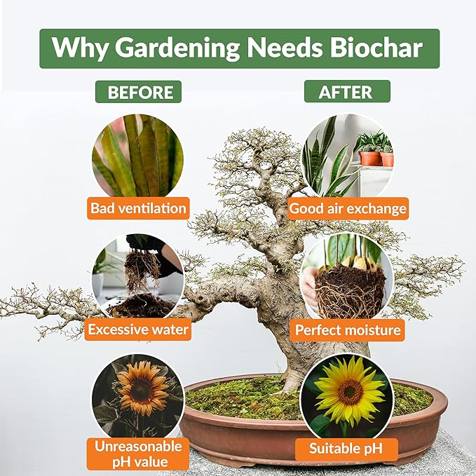 Old Potters Premium Biochar Soil Enhancer – 100% Organic Charcoal Amendment for Improved Soil Health and Plant Growth (24 Quarts)
