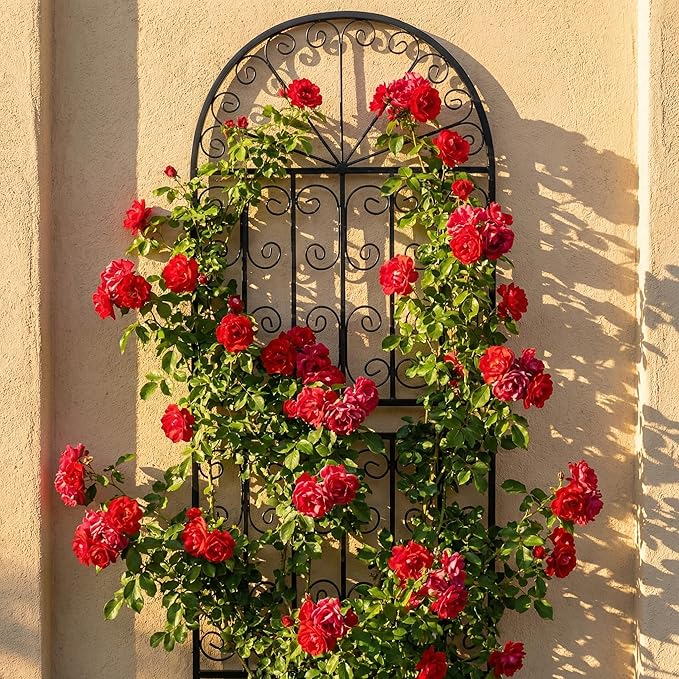SCENDOR 59 H x 22 W Arched Metal Garden Trellis with Scrollwork Rustproof Iron Plant Support for Climbing Roses Clematis &amp Vines Decorative Garden Screen for Lawn &amp Backyard 1 Pack