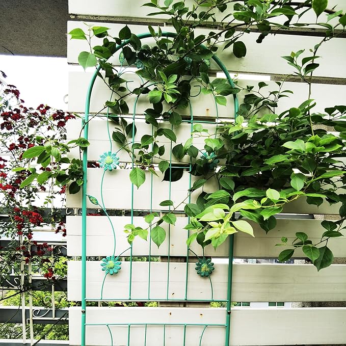4 Pack Metal Garden Trellis 71 x 19.7 Inches Rustproof Powder-Coated Plant Support for Climbing Roses Ivy Cucumbers Beans Peas Jasmine and More