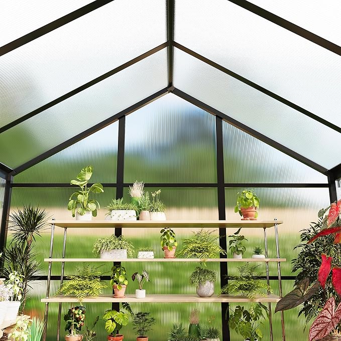 6 x 10 FT Greenhouse Outdoor Greenhouses Polycarbonate Panels with Aluminum Frame Adjustable Roof Vent and Lockable Door Green Houses for Outside Backyard Garden Patio