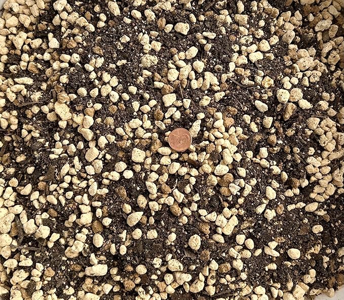 Generic 2.5 Quarts Premium Mixed Acid Loving Plants Azalea Bonsai Soil with Japanese Kanuma Mycorrhizae &amp Oak Leaf Mold - Medium Grain AZAM2.5Q