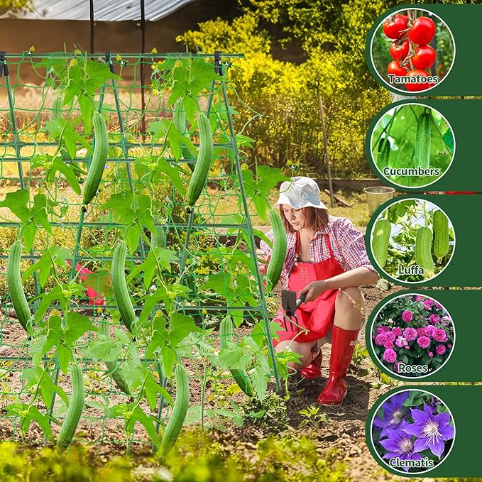 A-Frame Cucumber Trellis for Raised Bed - 63”H x 47”W Heavy-Duty Detachable Garden Trellis with Netting &amp Clips Support for Climbing Outdoor Cucumber Tomatoes Luffa Bitter Melon Vining Flowe