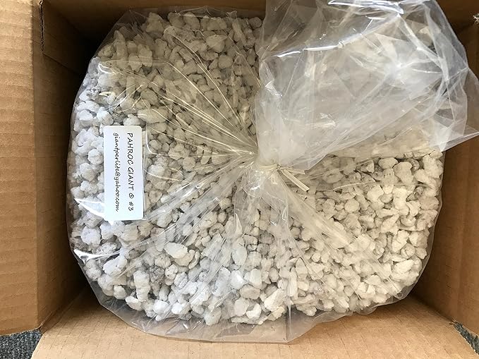 Exxxpanded Perlite #3 - (8QTS) Coarse Hydroponic Grow Media and Soil Amendment