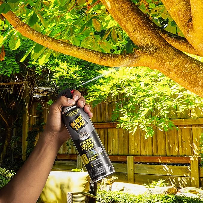 Black Flag Foaming Wasp and Hornet Killer 14 Ounces Aerosol Insecticide Spray 12 Pack