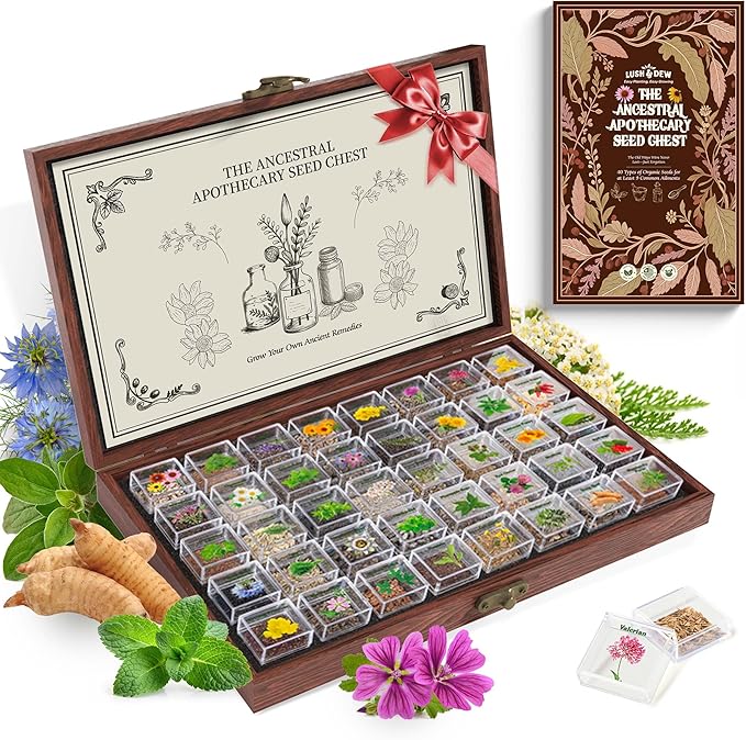 Lush&ampDew Ancestral Apothecary Medicinal Tea Herb Seed Chest 36000+ Non-GMO Survival Seed Kit Gardening Gifts for Women Men 40 Types Heirloom Garden Seeds for Planting Herbs Raised Bed Windows