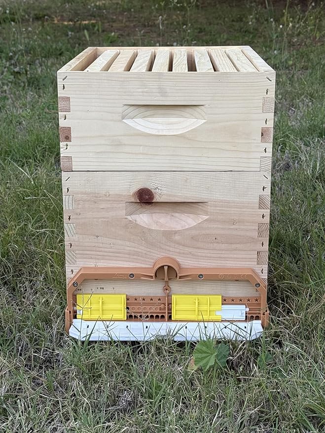 [New] Apimaye 8 Frame Screen Bottom Board with Bottom Tray &amp Pollen Trap
