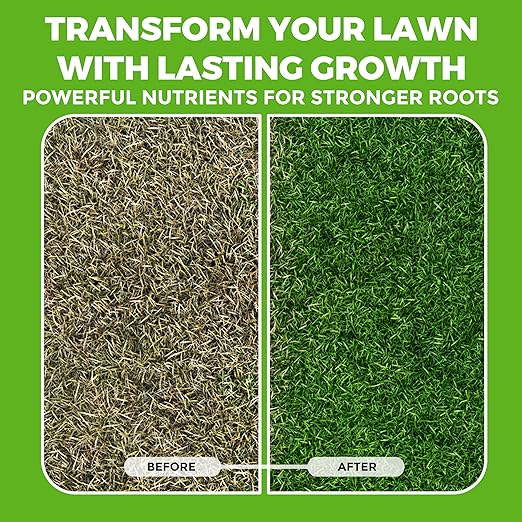 Covington Liquid Lawn Aerator (32oz) – Soil Conditioner &amp Softener for Lawns &amp Gardens – Loosens Clay &amp Compacted Soil for Better Water &amp Nutrient Absorption – Liquid Aeration Concentr
