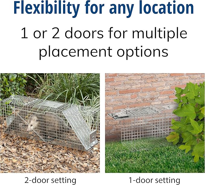 Havahart Large 2 Door Humane Catch and Release Live Animal Trap for Armadillos Beavers Bobcats Small Dogs Cats Foxes Groundhogs Nutria Opossums Raccoons Live Catch Trap for Stray Dogs 1045SR