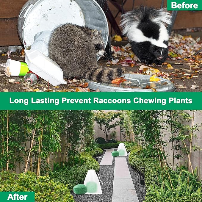 24 Pack Peppermint Skunk Repellent Raccoon Repellent Ball for House Garage Garden Indoor Raccoon Deterrent for Outdoor Keep Skunks and Raccoons Out Natural Ingredients Pet Safe Dark Green