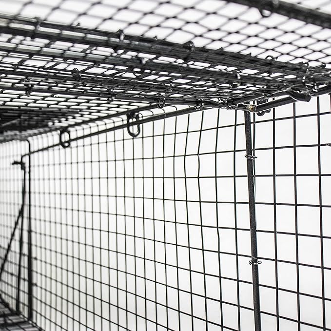 Humane Way 38 Inch Live Humane Animal Trap - Safe Traps for All Animals - Raccoons Cats Groundhogs Opossums - 35x11x11
