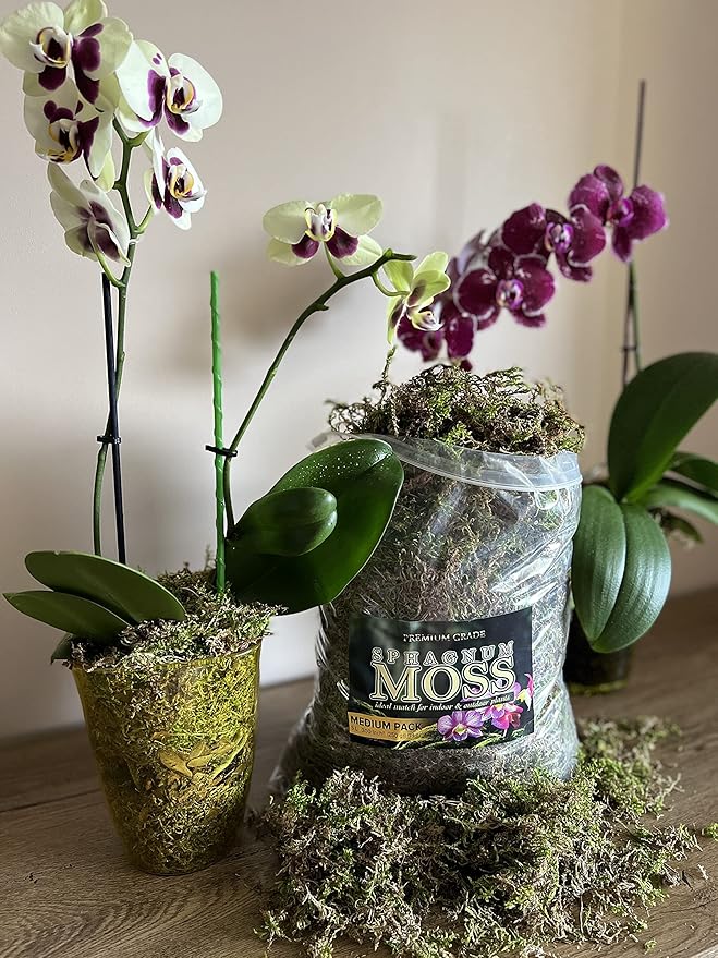 Organic Green Sphagnum Moss for Orchids Indoor and Outdoor Plants - Dried for Decorative Gardening (Medium Pack - 5 litres / 250 gr / 18 oz)