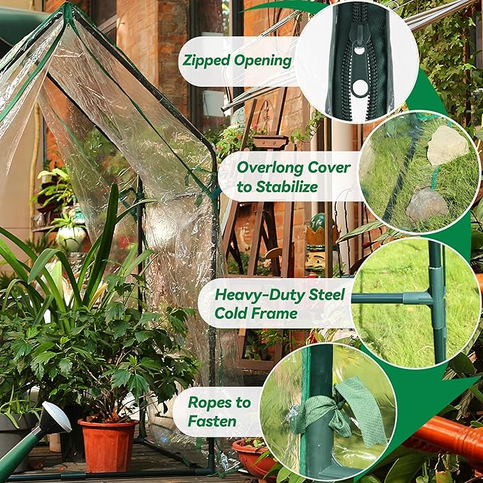 Gardzen Mini Greenhouse with Waterproof Bottom Portable Green House with Strong Metal Frame Small Green House for Outside and Inside Use36.2(L) x36.2(W) x59.5(H)