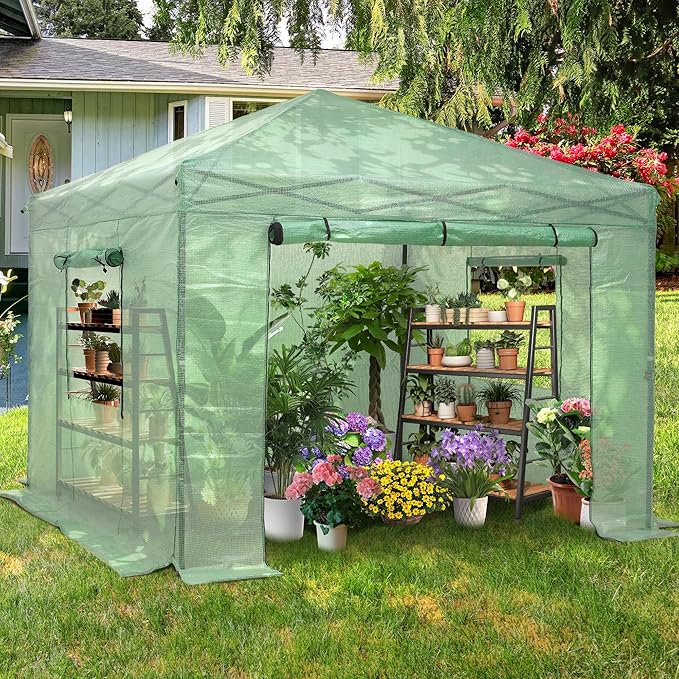 GDY 8X8FT Instant Pop-up Greenhouse Walk-in Plant Gardening Green House with PE Cover/Roll-Up Zipper Doors/Side Windows for Indoor Backyard and Outside Green/Clear.