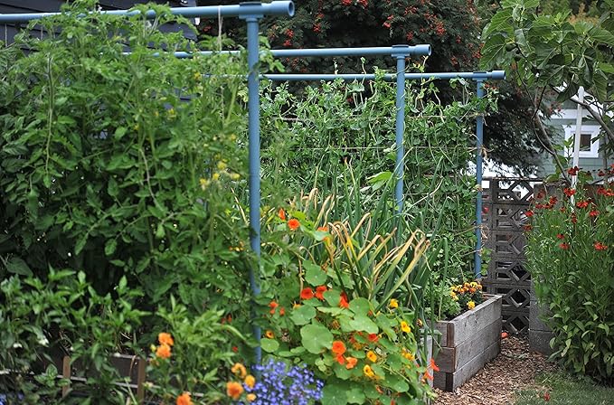 Seattle Urban Farm Company - Freyr Trellis - Vegetable Garden Trellis for Tomatoes Cucumbers Beans Peas and More