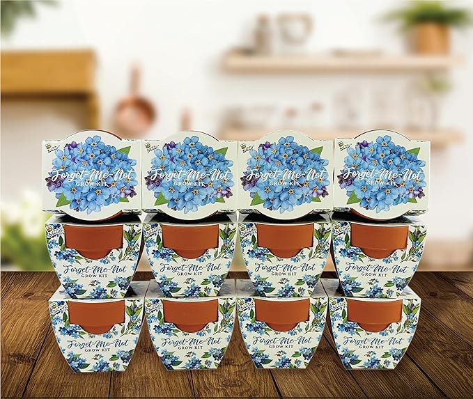 BUZZY Seeds Mini Terracotta Pots 12-Pack Daydream Forget-Me-Not Flowers All-in-One Seed Starter Kits Indoor Outdoor Gardening Gift Wedding Favors Seeds for Planting Flowers