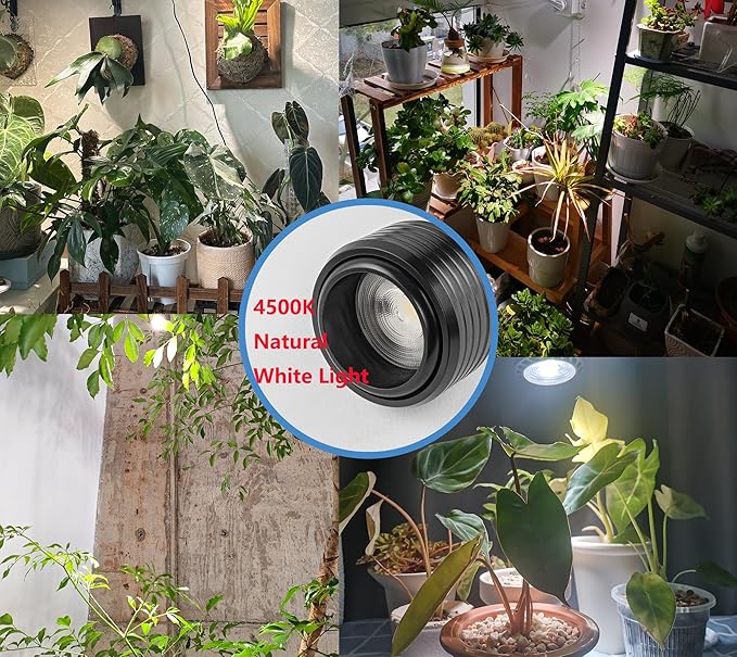 Hook Type Wall Mounted Plant Light Full Spectrum 4500K 10W Adjusted Angle &amp Light Beam Range 15°-60° Modern Pink Metal Wall Lamp for Indoor Growing Plants Flowers 2 Pack