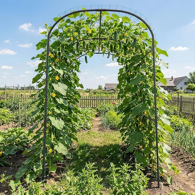 SUNYRISY Garden Arch Trellis for Climbing Plants Outdoor 71 x 47 x 83 Metal Core Tall Archway Tunnel Plant Support for Cucumber Tomato Vine Flowers Vegetables Climbing Plants