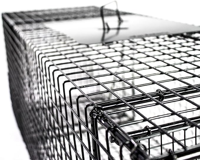 Humane Way 38 Inch Live Humane Animal Trap - Safe Traps for All Animals - Raccoons Cats Groundhogs Opossums - 35x11x11