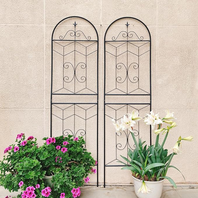 2 Pack Large Garden Trellis Heavy Duty Rustproof Iron Plant Trellis for Potted Plant Support Metal Climbing Rose Trellis Vine Vegetable Cucumber Black -71 H x 19.7 W