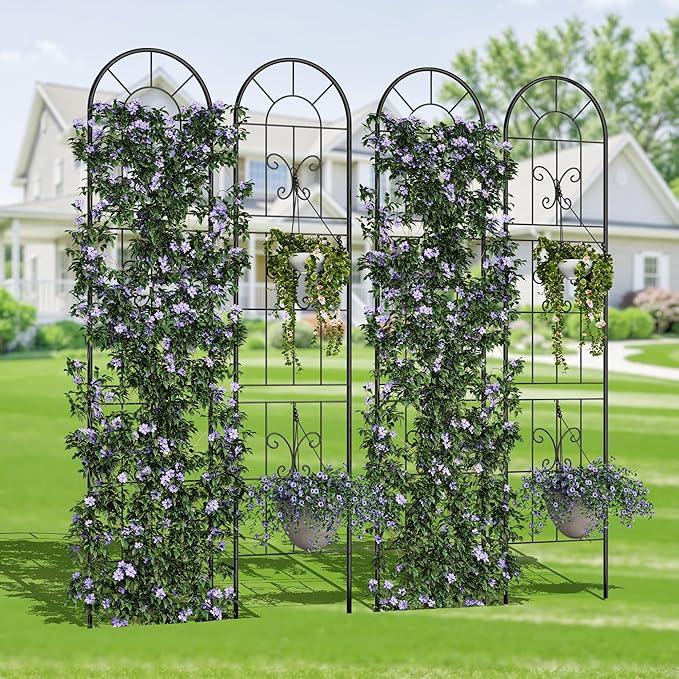 4 Pack Fence Panels 55 Tall Black Iron Garden Fence with Scroll Design Rustproof Outdoor Barrier for Small Yard Patio Decor &amp Plant Trellis