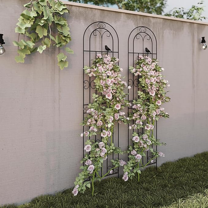 2-Pack 86.6 H x 19.7 W Rustic Metal Arched Garden Trellis – Rustproof Black Climbing Plant Support &amp Decorative Screen for Roses Clematis Cucumbers Patio Lawn &amp Courtyard