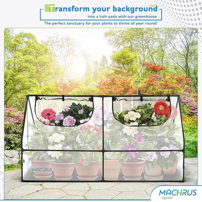 Ogrow Compact Garden Cloche Mini Greenhouse Seed Starter Plant Protector Indoor and Outdoor Use Portable Growing Dome for Herbs Flowers Vegetables Clear Cover