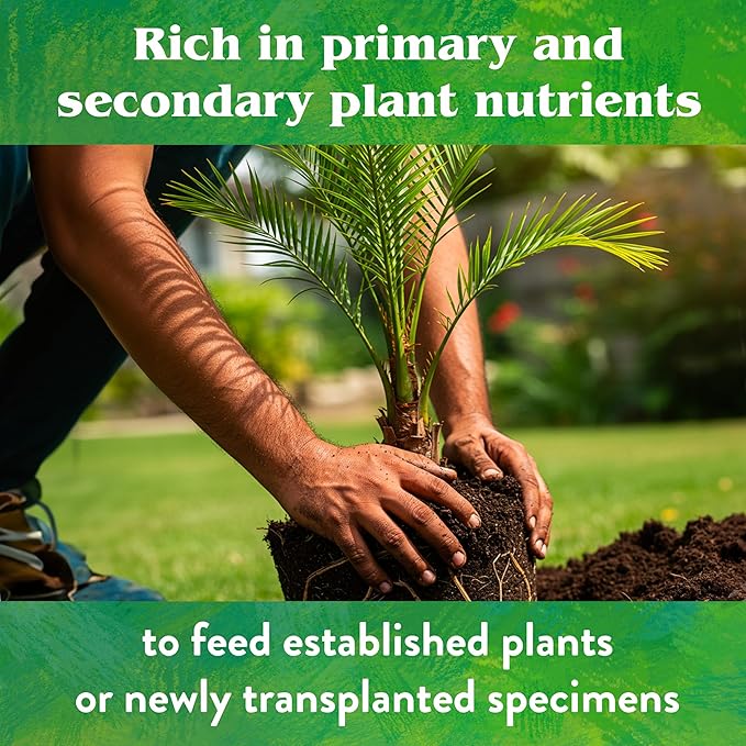 Down To Earth All Natural Fertilizers Organic Palm Tree - Plant Food for Palms Cycads Exotic and Tropical Plants 6-2-8 5 lb