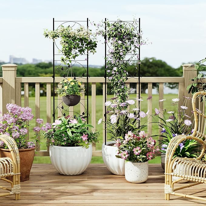 2 Pack 72x20In Garden Trellis for Climbing Plants Outdoor Black Metal Iron Trellis for Vegetables Vines Flowers - Plant Trellis Outdoor Patio &amp Garden Decor
