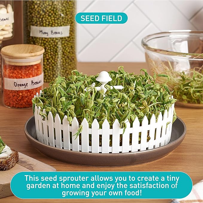 PELEG DESIGN Seed Field Seed Starter for Kitchen Use Indoor Seedling Tray w/Fence and a Scarecrow Fits Any Plate Ideal for Any Sprouting Seeds