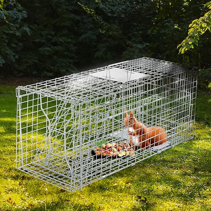 32 Live Animal Trap Cage Heavy Duty Folding Live Animal Cage Trap for Stray Cats Raccoons Squirrels Rabbits Opossums Groundhogs Armadillos up to 16.5 lbs - 32 L x 11 W x 12 H