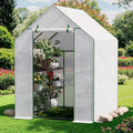 Greenhouse for Outdoors Small Greenhouse Walk-in Greenhouses with 3 Tiers 8 Shelves PE Cover Heavy Duty Plant Greenhouses for Garden and Backyard