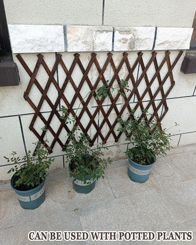 LTSRLL Garden Trellis Expandable Plant Climbing Support Decorative Fence Lattices 30x190cm 50x190cm 50x190cm 60x185cm 70x275cm 85x275cm 107x250cm Privacy Hedge Screen(H98)