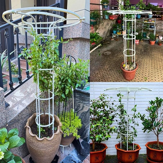 Garden Trellis for Climbing Plants Vertical Umbrella Trellis 3/3.9/4.9/5.9/6.9ft Sturdy Plant Support for Flowers Vegetable Fruits Vines Indoor Outdoor(WhiteHeight: 120cm/4.9ft)