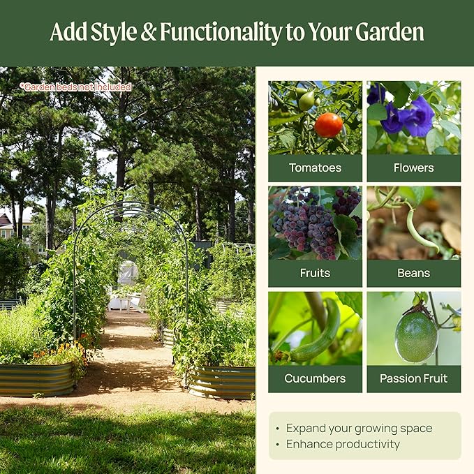 Vego Garden Modular Arched Trellis System Single Section 3.0' Long Trellis for Classic Garden Bed for Climbing Plants Like Cucumber Beans Tomatoes &amp Vines (Garden Beds Not Included)